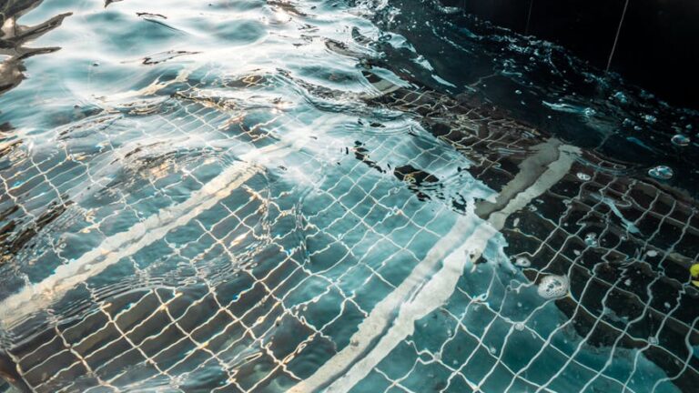 Essential Guide to Effective Pool Cleaning