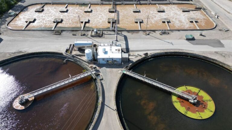Essential Guide to Septic Tank Cleaning and Maintenance