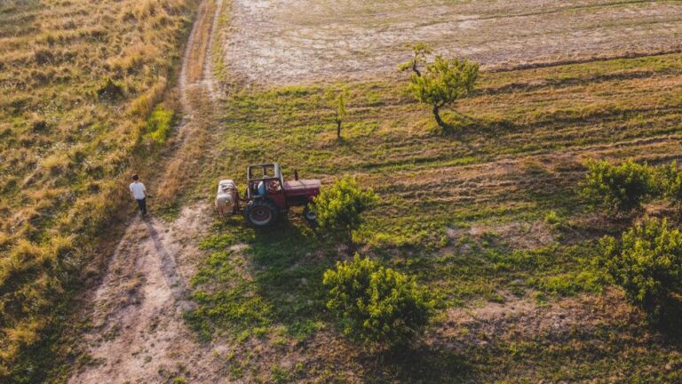 Suministros agrícolas orgánicos: claves para un cultivo sostenible