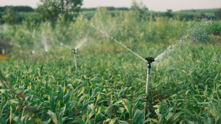 The Essential Guide to Modern Irrigation Systems