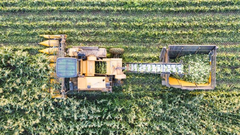 Navigating the Complex World of Crop Insurance
