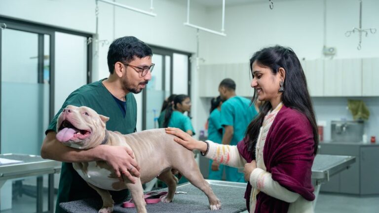 La importancia de una clínica veterinaria en Reserva