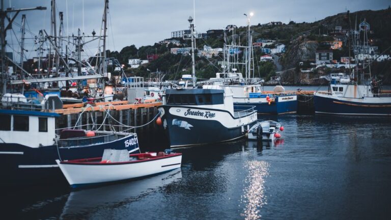fishing charter boat