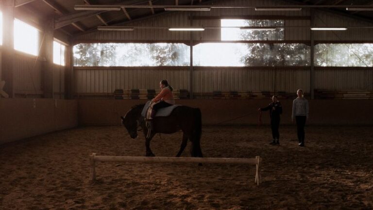 Discover the Joy of Horse Riding Lessons