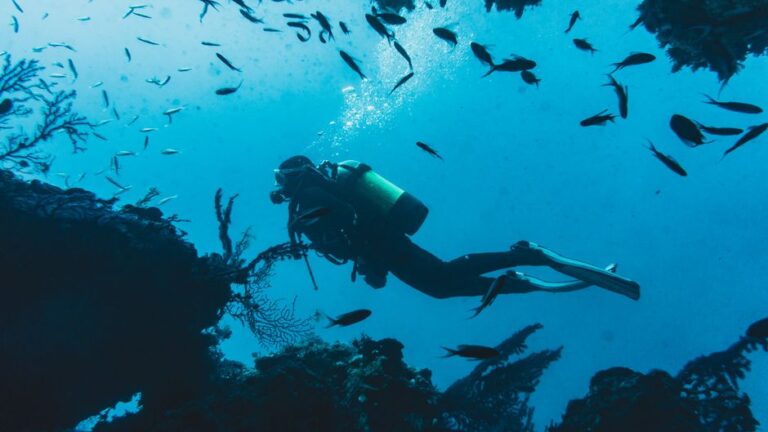 curso buceo certificación