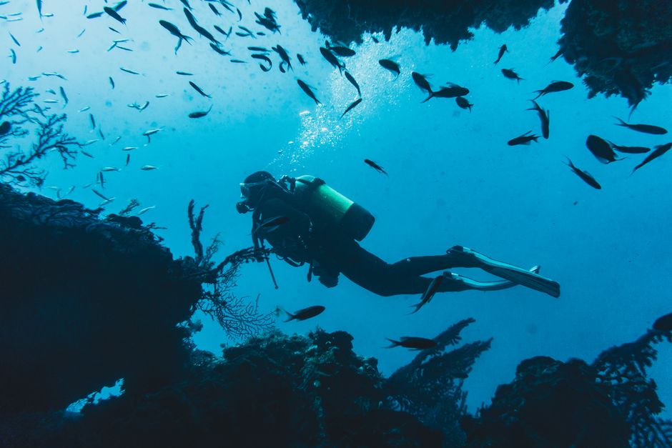 curso buceo certificación