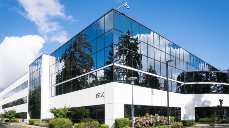 window cleaning company