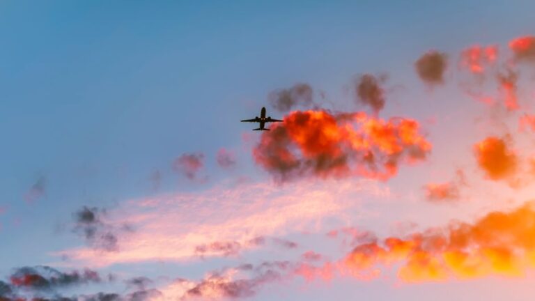 Navigating the Temp Agency Landscape: Your Guide to Flexible Employment