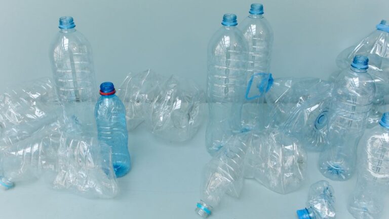 The Importance of Plastic Recycling Companies in a Sustainable Future